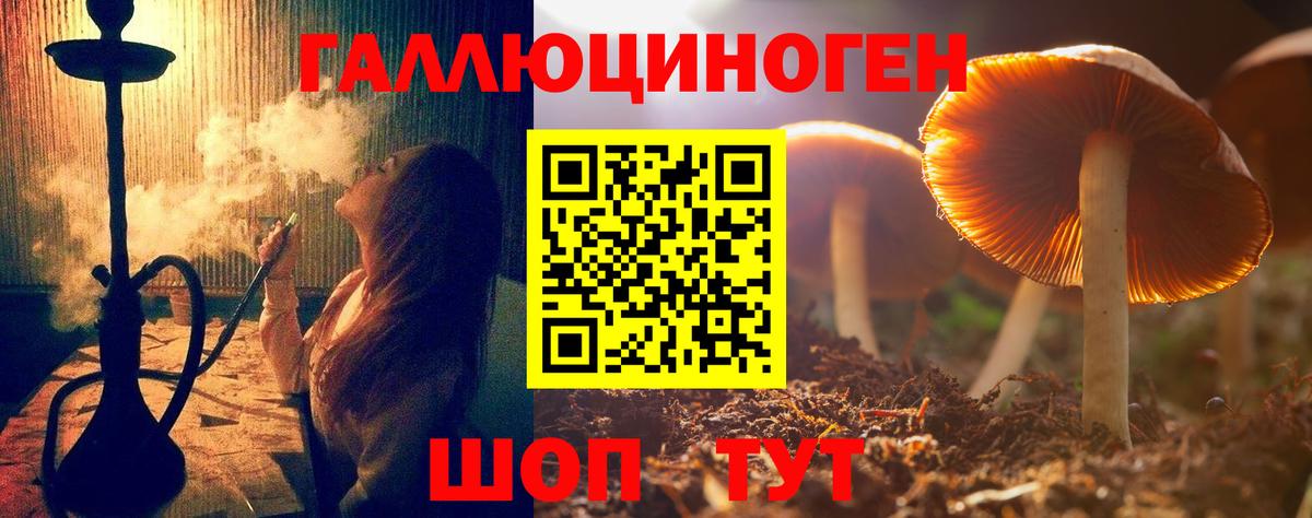 Рассказово  Галлюциногенные грибы Psilocybe  купить наркотики цена  Вход с VPN 