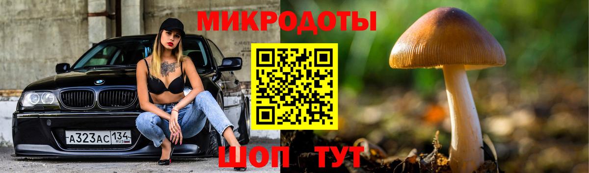 Псилоцибиновые грибы Psilocybe Рассказово